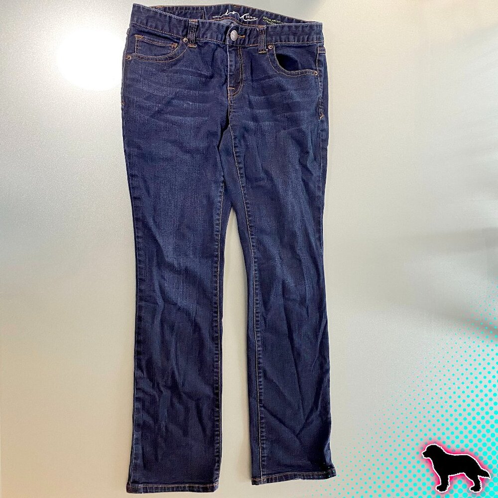 Inc Denim Jeans Size 10 Low Rise Straight Leg Regular Fit 1% Spandex